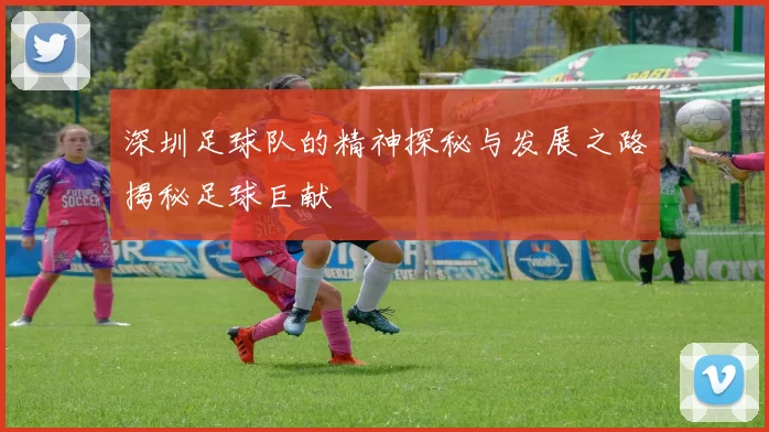 深圳足球队的精神探秘与发展之路揭秘足球巨献
