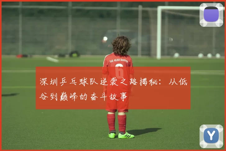 深圳乒乓球队逆袭之路揭秘：从低谷到巅峰的奋斗故事