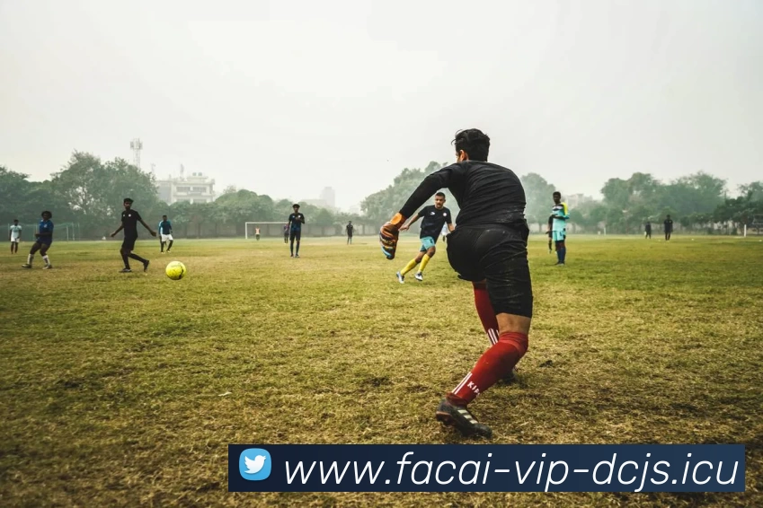 华体会体育服务体系